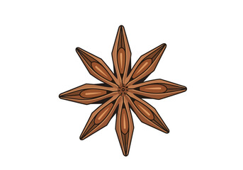 Star anise with its star shape  pod segments is depicted against a white backdrop