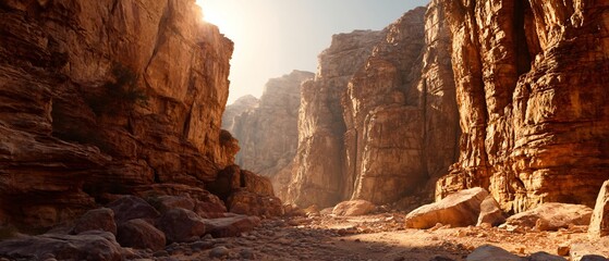 Golden Light in Desert Canyon