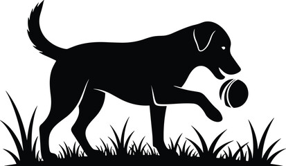 Dog, silhouette, ball, grass, play, pet, animal, black, white, outdoor, interaction, paw, motion, nature, fun, fetch, stance, background, canine, posture