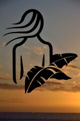 Silhouette of a woman at sunset