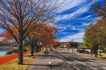 みずべ公園サイクリングロード