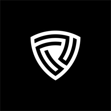 A bold, structured "P" monogram inside a shield shape. Excellent for professional consulting, corporate risk management, or legal firms.