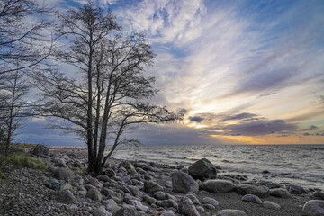 rocky seashore of the Baltic sea