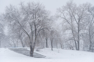 Obraz premium Snow-covered stone staircase leading through winter landscape. Snowy park and steep stair in park after heavy snowfall. Frosty pathway in descent in cold weather. Depicts winter danger outdoors.