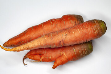 Macrophotography of organic fresh vegetables