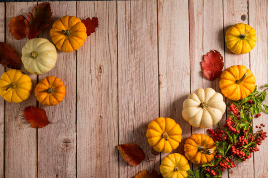 Autumn pumpkins frame background. Orange and white mini squashes, rustic style. Top view