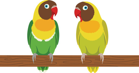 Two colorful lovebirds sitting on a wooden branch, tropical parrot couple illustration, exotic wildlife vector art, nature design