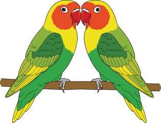 Two colorful love birds sitting on branch, tropical parrot couple illustration, exotic wildlife vector art for nature and romance