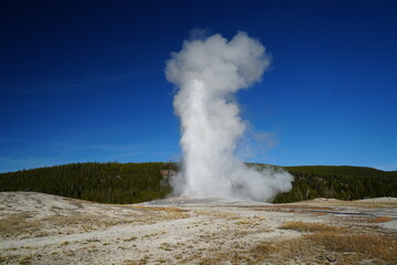 Old Faithful Geyser Eruption in Yellowstone National Park, USA