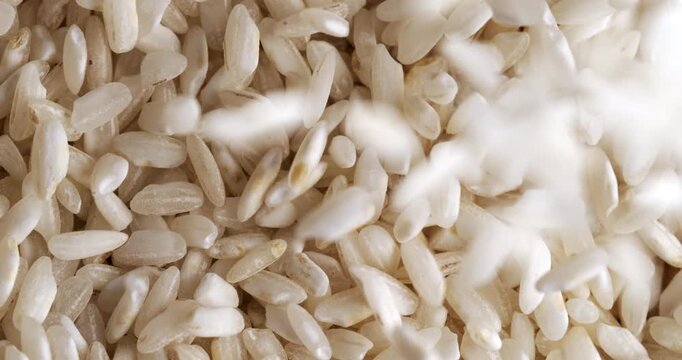 Macro slow motion shot of white rice grains falling softly, symbolizing purity, abundance, and simplicity in natural light at 1000 fps.
