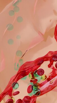 pituitary gland secretes follicle-stimulating hormone, or FSH, and luteinizing hormone, or LH, into the bloodstream. After these hormones reach the ovaries, Polycystic Ovary Syndrome, 3d render