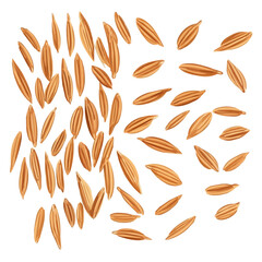 A Minimalistic 2D flat icon illustration of brown rice grains set, simple illustration style, clean vector design, isolated on a white background, modern element in vector, EPS format