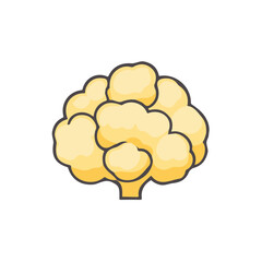 A Minimalistic 2D flat icon illustration of a cauliflower, simple illustration style, clean vector design, isolated on a white background, modern element in vector, EPS 