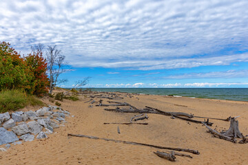 Driftwood lines sand beach with clouds hover near distant horizon.