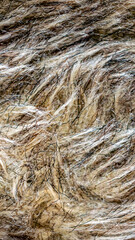 black and brown dog fur. background or texture
