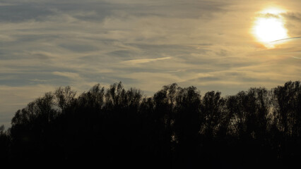 Obraz premium Silhouetted forest at sunset under dramatic cloudy sky