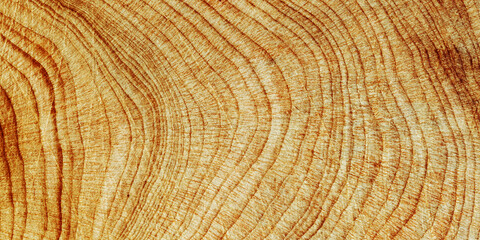 Wooden annual rings texture natural background, waves shape of timber tree as minimal nature pattern, banner. Cross-section of juniper. Wood texture eco-friendly, organic or rustic aesthetics.