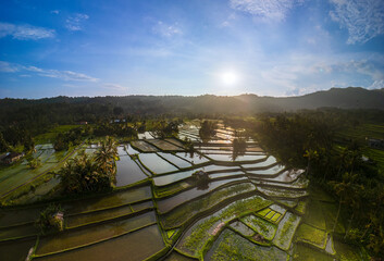 Bali rice terraces at sunset aerial view of tropical landscape with reflections
