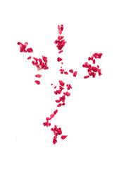 pieces of dried raspberries on a white background