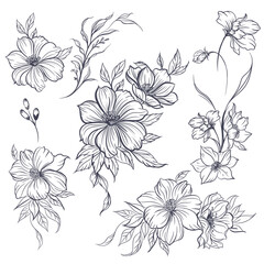 Collection of vector lined flowers and florals, awesome for tattoo and invitations