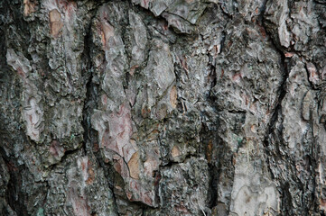 Texture