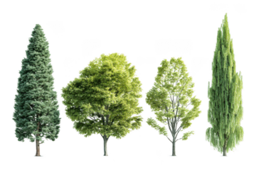 Variety of green foliage trees isolated on transparent background