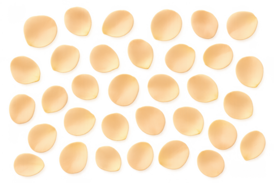 Falling yellow rose petals with transparent background