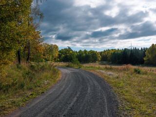 Country dirt road with trees under cloudy sky
