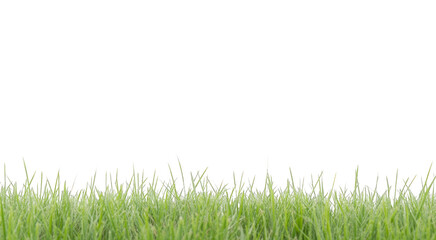 Obraz premium bright green realistic seamless grass border isolated on transparent background