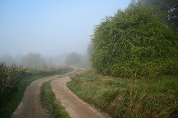 road in the countryside,fog