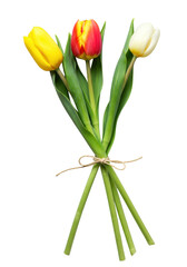 Three fresh yellow, red-pink, white tulip stems with lush green leaves, tied with twine, on transparent, no shadows, precise product shot, concept of natural beauty