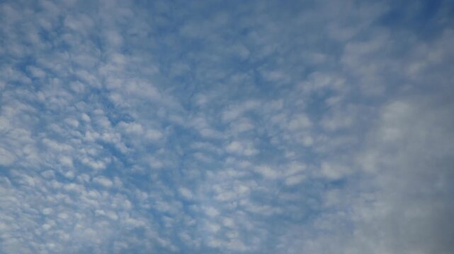 Altocumulus high cumulus heaped cloud genus belongs to stratocumuliform. Globular masses or rolls in layers or patches. Cumuliform stratocumuliform clouds, altocumulus signifies convection. Blue sky