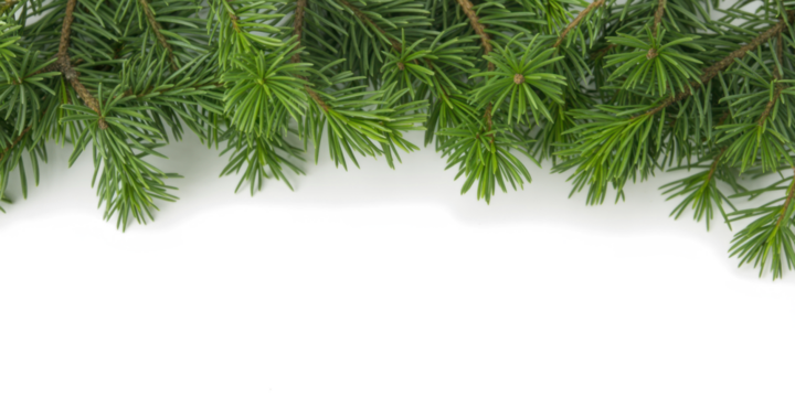 christmas background with branches