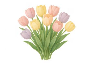 Pastel watercolor tulips bouquet with transparent background