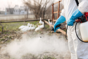 Farm worker in protective suit and gloves spraying disinfectant near a goose pen. Biosecurity action to prevent influenza A H5N1 spread in a cloudy rural environment