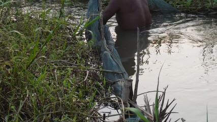 Fisherman standing chest deep in pond water setting nylon fishing net along grassy wetland bank