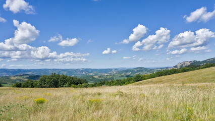Fototapeta premium Vast, sunlit Italian landscape in Emilia-Romagna, featuring dry grass and rolling hills under a blue sky.