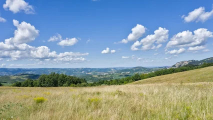 Selbstklebende Fototapeten Mediterranes Europa Vast, sunlit Italian landscape in Emilia-Romagna, featuring dry grass and rolling hills under a blue sky.  © Marcel