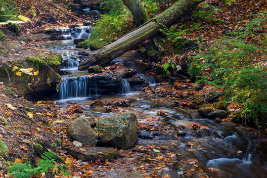 waterfall in autumn forest