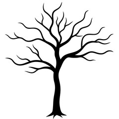 Silhouette of bare tree