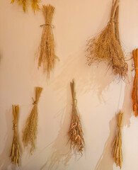 Minimal Dried Grass Decoration on Beige Wall Natural Home Decor Concept