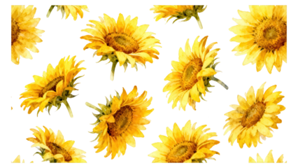 Watercolor Sunflower Pattern on White Background