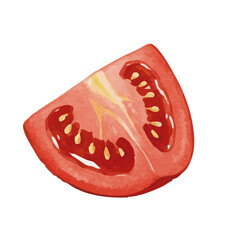 Vector watercolor vegetable / 水彩テイストのトマトイラスト