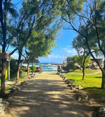 Path leading throught trees to a coastal landscape by the sea