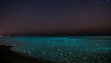 Fototapeta premium Bioluminescent Beach Under Starry Night Sky