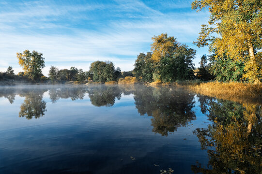 Misty autumn morning over calm lake with reflections - Powered by Adobe