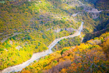 Autumn mountain landscape with colorful forest and winding road. Colorful autumn trees