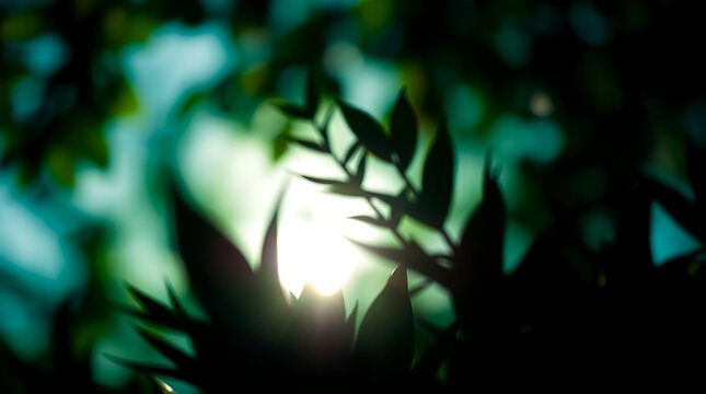 The Hidden Sun: Spectra of light piercing through green and blue shadows