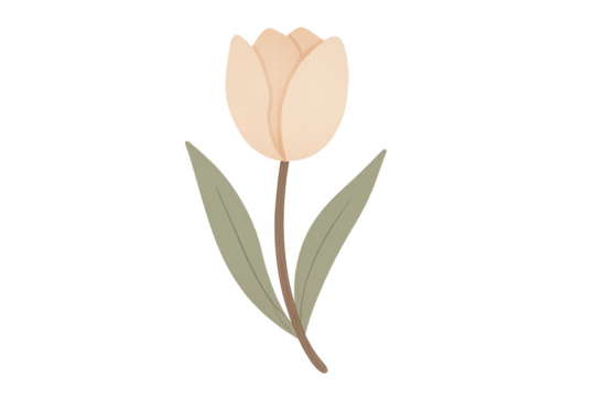 Single pastel beige tulip flower illustration transparent background