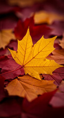 Fototapeta premium Close-up of a yellow maple leaf atop pile of fallen red and orange leaves, showcasing the seasonal transition and representing autumn's vibrant palette
